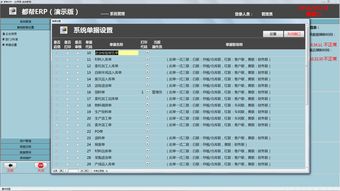 Access軟件開發的魅力 技術賦能與網絡服務的完美融合